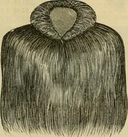 An illustration from Fall and Winter, 1890-91 Fashion Catalogue / H. O'Neill and Co. (1890)