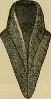 An illustration from Fall and Winter, 1890-91 Fashion Catalogue / H. O'Neill and Co. (1890)