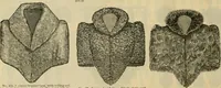 An illustration from Fall and Winter, 1890-91 Fashion Catalogue / H. O'Neill and Co. (1890)