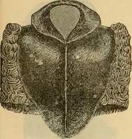 An illustration from Fall and Winter, 1890-91 Fashion Catalogue / H. O'Neill and Co. (1890)