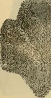 An illustration from Fall and Winter, 1890-91 Fashion Catalogue / H. O'Neill and Co. (1890)