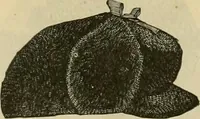 An illustration from Fall and Winter, 1890-91 Fashion Catalogue / H. O'Neill and Co. (1890)