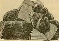 An illustration from Fall and Winter, 1890-91 Fashion Catalogue / H. O'Neill and Co. (1890)