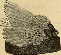 An illustration from Fall and Winter, 1890-91 Fashion Catalogue / H. O'Neill and Co. (1890)