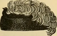 An illustration from Fall and Winter, 1890-91 Fashion Catalogue / H. O'Neill and Co. (1890)