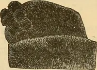 An illustration from Fall and Winter, 1890-91 Fashion Catalogue / H. O'Neill and Co. (1890)