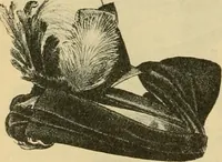 An illustration from Fall and Winter, 1890-91 Fashion Catalogue / H. O'Neill and Co. (1890)