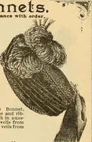 An illustration from Fall and Winter, 1890-91 Fashion Catalogue / H. O'Neill and Co. (1890)