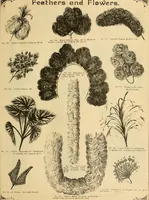 An illustration from Fall and Winter, 1890-91 Fashion Catalogue / H. O'Neill and Co. (1890)