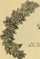 An illustration from Fall and Winter, 1890-91 Fashion Catalogue / H. O'Neill and Co. (1890)