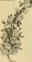 An illustration from Fall and Winter, 1890-91 Fashion Catalogue / H. O'Neill and Co. (1890)