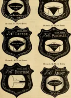 An illustration from Fall and Winter, 1890-91 Fashion Catalogue / H. O'Neill and Co. (1890)