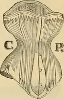An illustration from Fall and Winter, 1890-91 Fashion Catalogue / H. O'Neill and Co. (1890)
