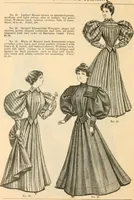 An illustration from Fall and winter 1895-6 price list for daily reference. (1895)