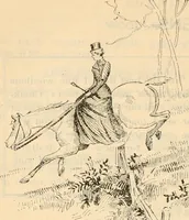 An illustration from Fall and winter 1895-6 price list for daily reference. (1895)