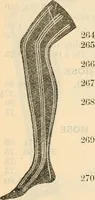 An illustration from Fall and winter 1895-6 price list for daily reference. (1895)