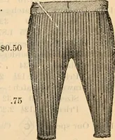 An illustration from Fall and winter 1895-6 price list for daily reference. (1895)