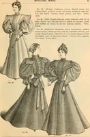 An illustration from Fall and winter 1895-6 price list for daily reference. (1895)