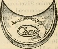 An illustration from Fall and winter 1895-6 price list for daily reference. (1895)