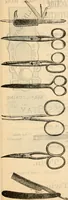 An illustration from Fall and winter 1895-6 price list for daily reference. (1895)