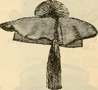 An illustration from Fall and winter 1895-6 price list for daily reference. (1895)