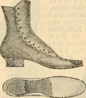 An illustration from Fall and winter 1895-6 price list for daily reference. (1895)