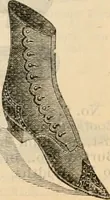 An illustration from Fall and winter 1895-6 price list for daily reference. (1895)