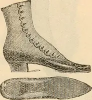 An illustration from Fall and winter 1895-6 price list for daily reference. (1895)