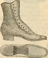 An illustration from Fall and winter 1895-6 price list for daily reference. (1895)