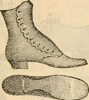 An illustration from Fall and winter 1895-6 price list for daily reference. (1895)