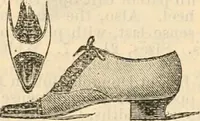 An illustration from Fall and winter 1895-6 price list for daily reference. (1895)