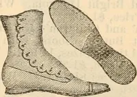An illustration from Fall and winter 1895-6 price list for daily reference. (1895)