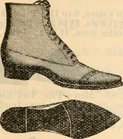 An illustration from Fall and winter 1895-6 price list for daily reference. (1895)