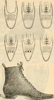 An illustration from Fall and winter 1895-6 price list for daily reference. (1895)