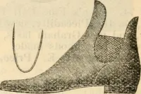 An illustration from Fall and winter 1895-6 price list for daily reference. (1895)