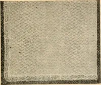 An illustration from Fall and winter 1895-6 price list for daily reference. (1895)