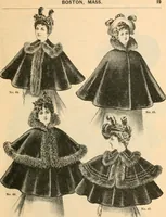 An illustration from Fall and winter 1895-6 price list for daily reference. (1895)