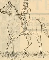 An illustration from Fall and winter 1895-6 price list for daily reference. (1895)
