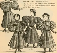 An illustration from Fall and winter 1895-6 price list for daily reference. (1895)