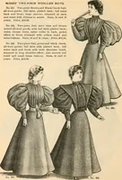 An illustration from Fall and winter 1895-6 price list for daily reference. (1895)