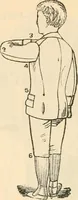 An illustration from Fall and winter 1895-6 price list for daily reference. (1895)