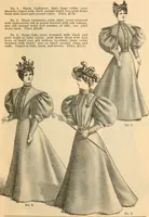An illustration from Fall and winter 1895-6 price list for daily reference. (1895)