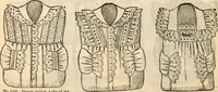 An illustration from Fall and winter 1895-6 price list for daily reference. (1895)