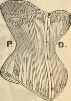An illustration from Fall and winter 1895-6 price list for daily reference. (1895)