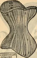 An illustration from Fall and winter 1895-6 price list for daily reference. (1895)