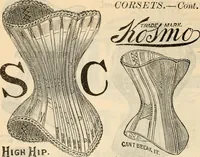 An illustration from Fall and winter 1895-6 price list for daily reference. (1895)