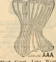 An illustration from Fall and winter 1895-6 price list for daily reference. (1895)