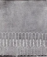 An illustration from Fall and winter : catalogue number one hundred ten, 1914-15. (1915)