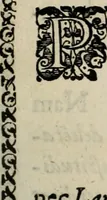 An illustration from Fama postuma, de virtutibus heroicis : quibus serenissima princeps ac domina D. Maria Archidux Austriae, Rheni Palatina vtriusque Bauariae Dux, et serenissimi quondam principis ac domini D. Caroli Archducis Austriae, Burgundiae, Styriae, Carinthiae, Carniolae Ducis Coniux, postea vidua augustam memoriae semper foelicis immortalitatem viuens moriens meruit (1609)