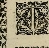 An illustration from Fama postuma, de virtutibus heroicis : quibus serenissima princeps ac domina D. Maria Archidux Austriae, Rheni Palatina vtriusque Bauariae Dux, et serenissimi quondam principis ac domini D. Caroli Archducis Austriae, Burgundiae, Styriae, Carinthiae, Carniolae Ducis Coniux, postea vidua augustam memoriae semper foelicis immortalitatem viuens moriens meruit (1609)